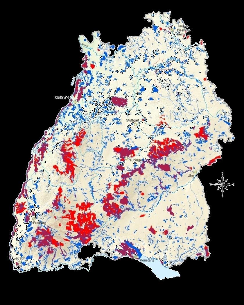 Europäisches Naturerbe Natura 2000 Natura 2000 = Vogelschutz- + FFH-Gebiete und stellt