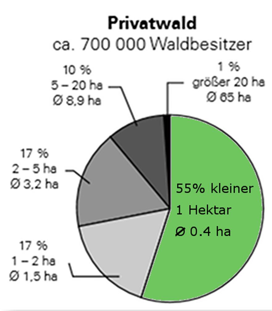 Waldbesitzgrößen Privatwald in Bayern 491.000 Waldbesitze 700.