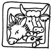 .. 26 Rezept Ein knuspriges Bauernbrot... 27 Rezept Ein frischer Bauernsalat... 28 3. Kapitel: Tiere auf dem Bauernhof... 29 Rinder haben viele Namen...31 Nützliche Rinder.