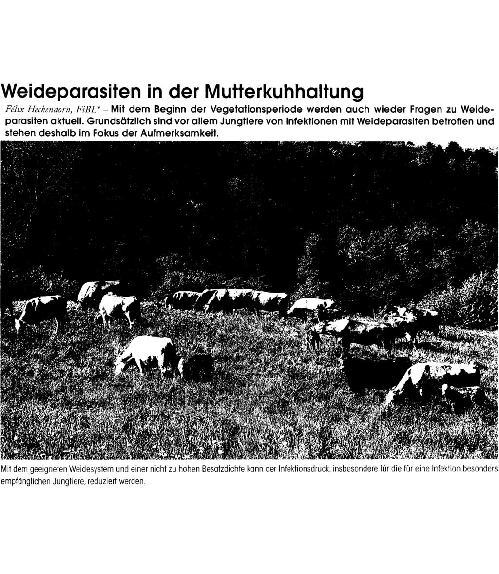 Weideparasiten in der Mutterkuhhaltung Felix Heckendorn, FiBL* - Mit dem Beginn der Vegetationsperiode werden auch wieder