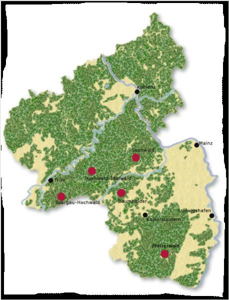 Nationalparkplanung Rheinland-Pfalz/Saarland Rheinland-Pfalz: Interessenbekundungsverfahren seit 2011 Kriterien waren: Überwiegend