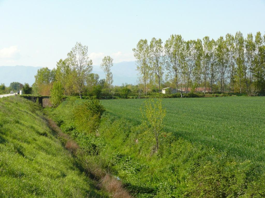 Entwässerungsgraben in der Ebene S Makrychori( Trikala),