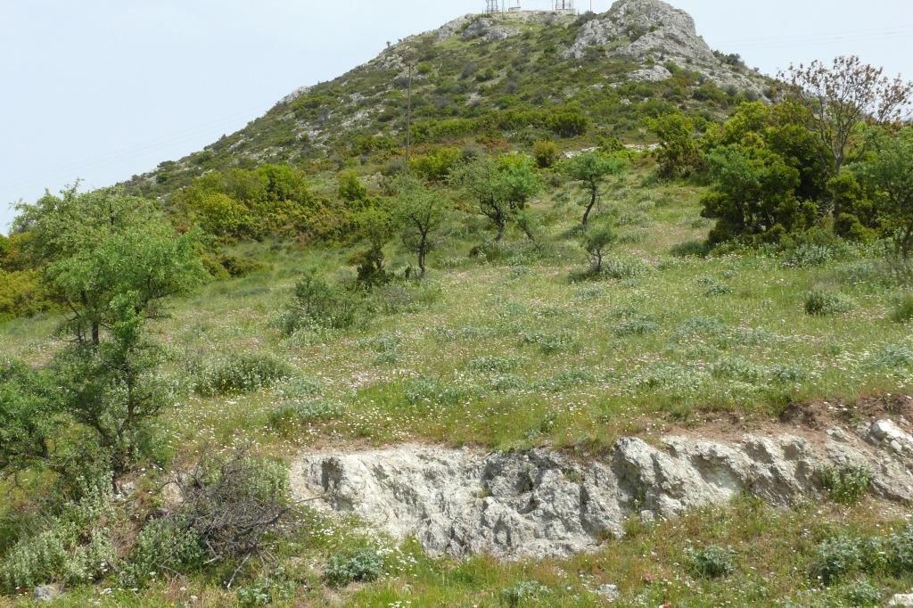 2008 SW Gerakari (Larisa), krautreicher, felsiger Hügel,