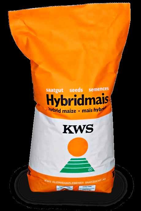 * Nutzung Körnermais Silomais Folgende Sorten sind auch als Bio-Saatgut erhältlich: AMANATIDIS RZ 230 Kandis RZ ca. 270 Ronaldinio RZ 290 RICARDINIO 250 Hz 2 2 3 3 5 2 8 Ung.