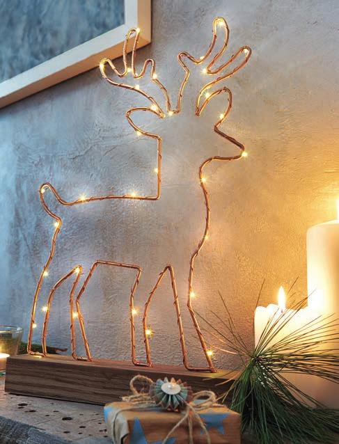 Rotpfeil Rentier Deko Dekoration Weihnachten Advent Licht Lampe 30 Ricebulbs