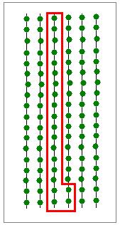 Tabelle 1: Beispiele für die Umsetzung der Stichprobenfläche anhand von Reihenangaben Geforderte Stichprobenfläche anhand von Reihenangaben Umsetzung der Stichprobenfläche in der Plantage
