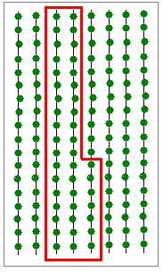 weiteren Pflanzplätzen der Folgereihe Beispiel 2 Anzahl kompletter Reihen: 0 Anzahl Pflanzplätze Folgereihe: 6 Messen Sie die Durchmesser aller Triebe von 12 aufeinanderfolgenden Pflanzplätzen