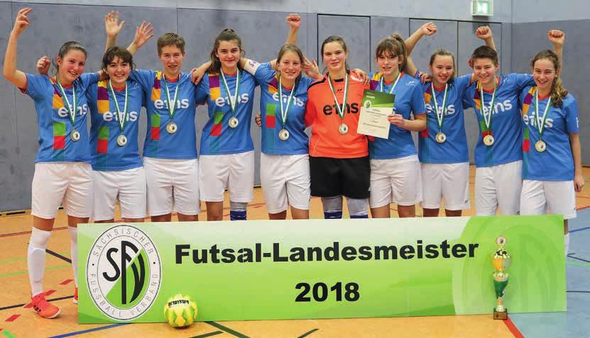 Spielbetrieb Sächsischer Futsal- Landesmeister und NOFV-Vizemeister 2018: DFC Westsachsen Zwickau.