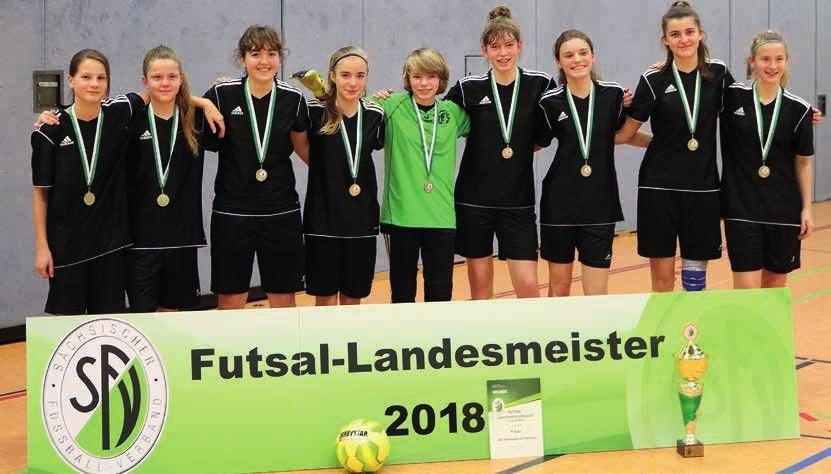 Mit der Deutschen Futsal-Vizemeisterschaft haben die C-Juniorinnen des DFC Westsachsen Zwickau den größten Erfolg der Vereinsgeschichte erreicht.