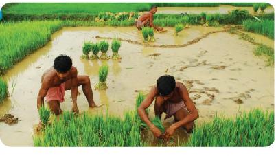 Besondere Rolle der Kleinbauern Regionen mit überwiegend Kleinbauern sind auch die Länder, in denen mehr Menschen