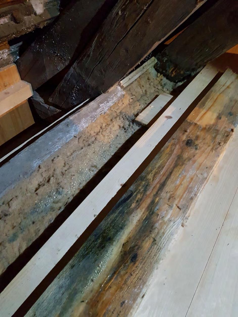 Der Bauherr: Der Holzboden ist feucht und wirft sich Binderbalken mit Schimmel