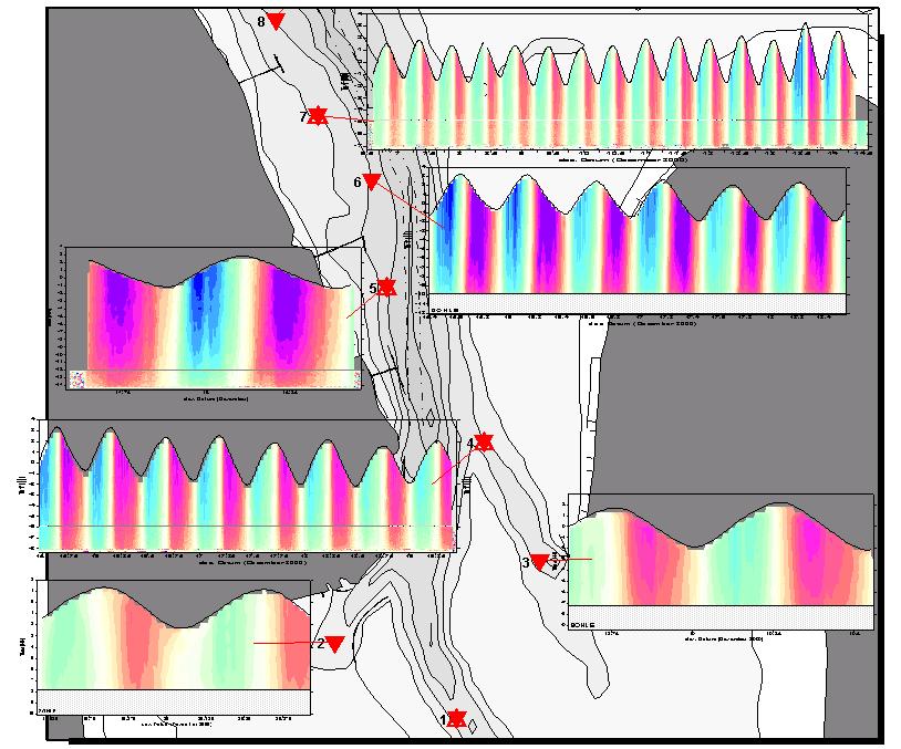 Beispiel: ADCP-Messungen in der Jade Sohlnah: 5 cm Lamellen Ziel: Erfassung der Strömungsdynamik Konzept: Kombination von Langzeitmessungen (1-2 Wochen,