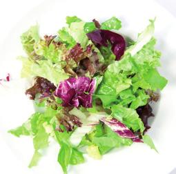 Radicchio, Frisee, Karotten, Weißkraut