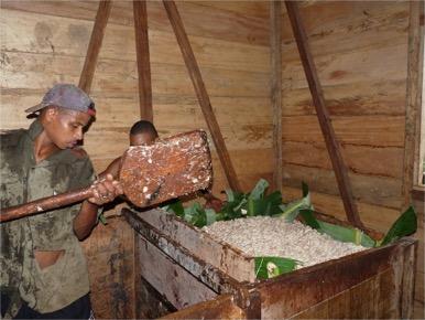 Fair Plus: Handel mit Kakao Auswertung u.