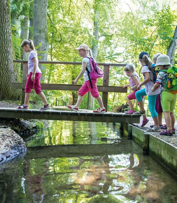 Natur & Erholung 18 Waldführungen mit dem Förster am Krummbach Auch als Kinderprogramm Im Wald da sind