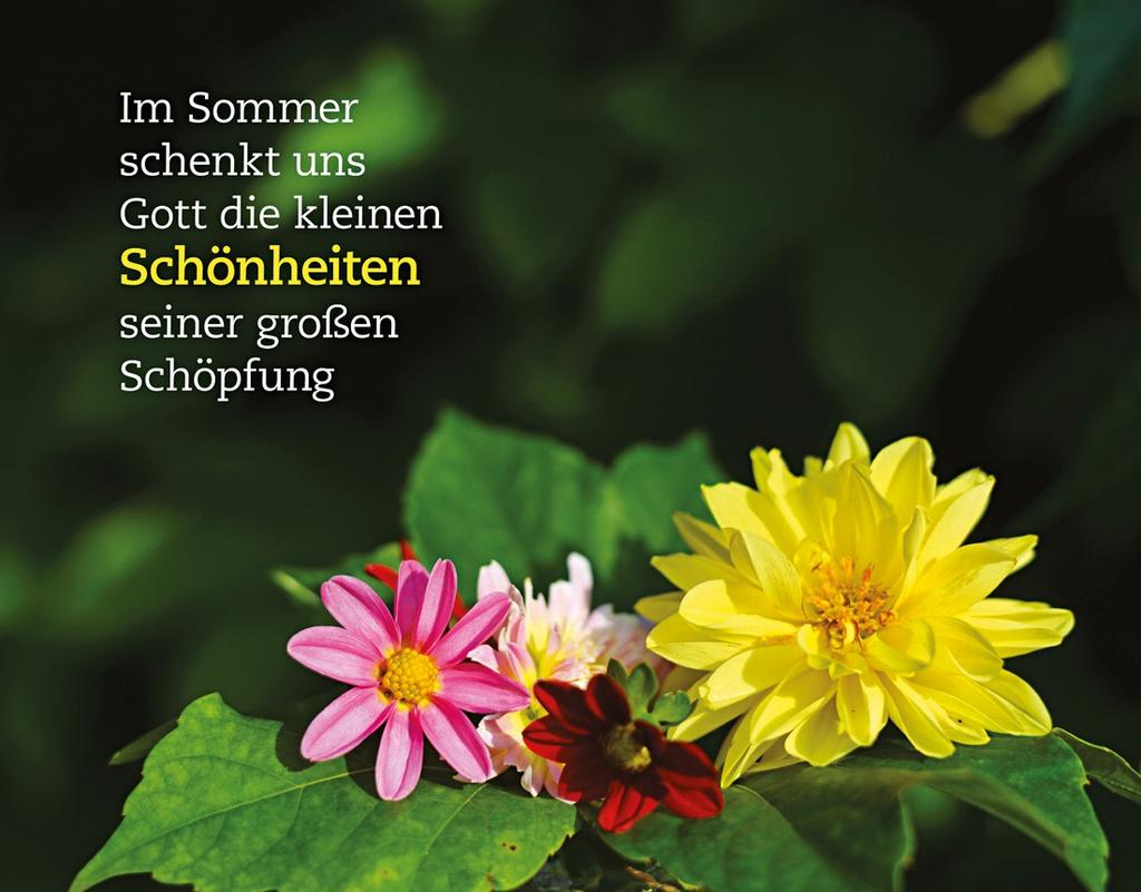 GEBET ZUR ERHOLUNG: Gnädiger Gott, in ein paar Tagen ist es soweit: Wir haben Ferien. Zeit, auszuruhen und Neues zu entdecken. Sei bei uns allen in dieser Zeit, wo auch immer wir sind.