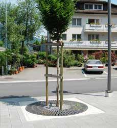 Ziel ist es, lebensfähige Bäume mit ei nem minimalen Verlust an Nutzfläche effizient und dauerhaft in den urbanen