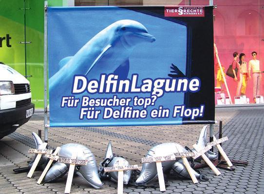 Auch unser TV-Gerät kam wieder zum Einsatz: Der Dokumentarfilm»Dolphin Prison Das lächelnde Sterben der Delfine«zeigt
