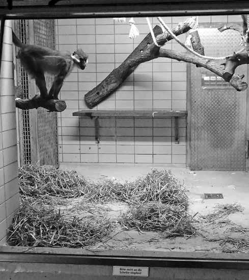 Zoo & Zirkus Merkwürdige Todesfälle Im Zoo begegnet man gerade nicht der Natur, der wirklichen Tierwelt schon gar nicht.