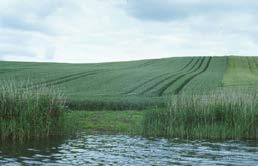 1. diffuse Quellen EU-Code Nährstoffe (Phosphor, Kalk) aus landwirtschaftlichen Flächen P 21 Andere Quellen - hier