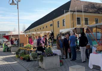 Markt Sie Sucht Ihn In Feldkirchen An Der Donau