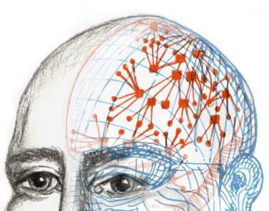 Im Gehirn ist das Wissen in Form von neuronalen Netzen gespeichert, jede neue Information