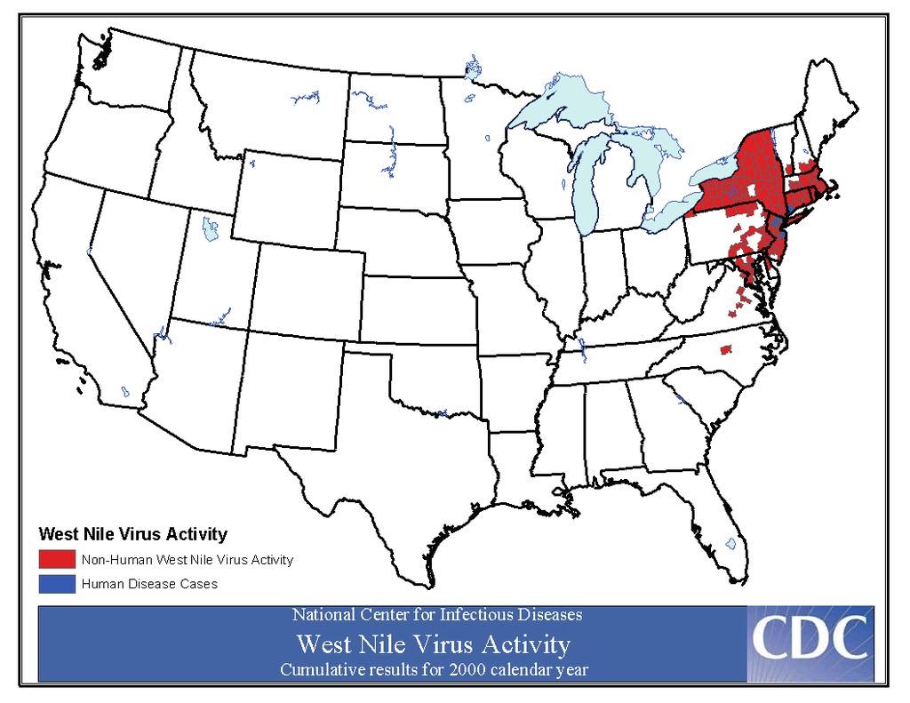 West-Nil-Virus Infektionen U USA