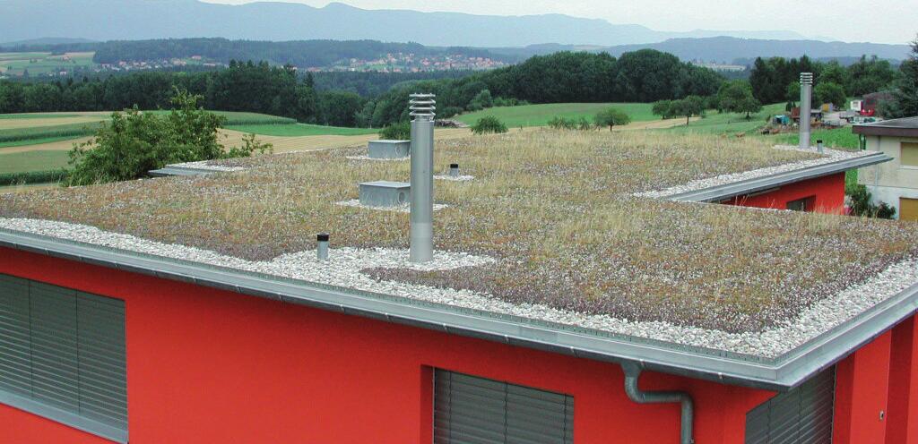 Grundlagen und Planungshinweise Dachbegrünungsrichtlinie Dachabläufe in Vegetationsflächen Flachdachabläufe innerhalb von Vegetationsflächen sollen zum Schutz vor Verschmutzung und einwachsenden