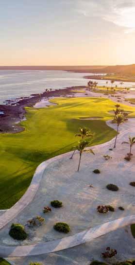 Reise 49 Mit mehr als 25 Golfplätzen hat sich die Dominikanische Republik zu einem der vielfältigsten und beliebtesten Golfziele der Karibik entwickelt.