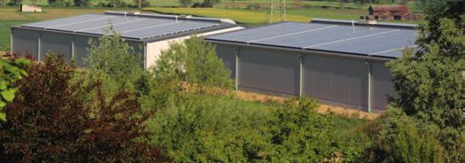 Mehr Nachhaltigkeit mit Biogas und Sonnenstrom. Auf fast 20.000 m² firmen eigener Fläche wachsen bei Rayher bunte Blühmischungen.