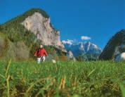 Mehr als ein Drittel aller in Österreich nachgewiesenen Pflanzenarten kommt im Nationalpark vor, bei den Säugetieren, Vögeln, Reptilien und Amphibien sind es um die 50%.