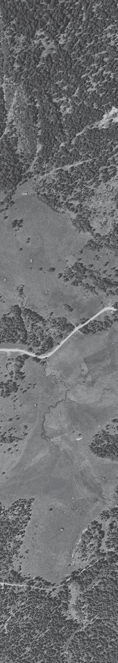 Orthofoto 1956. Das Möserner Moor ist noch unversehrt, siehe Freiflächen links und rechts der Straße.