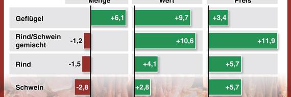 Nachfrage nach Rindfleisch knapp stabil 2012: +2,2 % -1,2 % 2012: +9,1 % +5,4 % Januar bis September 2013: Menge: -1,1 % Preis: +4,7 % Exporte 2013 eingebrochen Deutschland: Ausfuhr von Rindfleisch