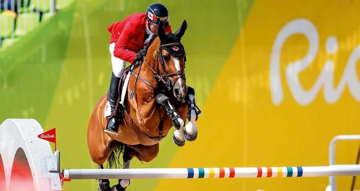 Im Bereich der Sportpferde ist Verden der weltweit stärkste Auktionsstandort hier werden Pferde im Bereich von 7.000 bis 1, 2 Millionen Euro gehandelt.