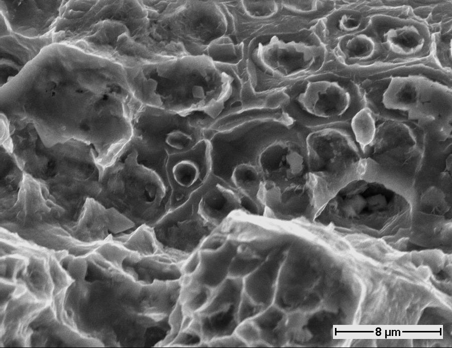 Der Bereich des Restbruches ist durch flache Waben geprägt. Als Keime der Waben diesen rundliche Teilchen mit der Größe von etwa 2 µm (Bild 10).