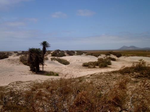 Boavista bietet weißgoldene Sandstrände von bis zu 22 km Länge, umgeben von türkisfarbenem Wasser, wie den Stränden Praia de Santa Monica im Südwesten oder Praia das Chaves im Westen der Insel.
