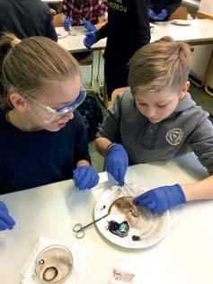 Zu guter Letzt schafften die Kinder die letzte Wettbewerbsstufe am Schnuppernachmittag: mit einem Quiz und verschiedenen Geschmackstests testeten die Schülerinnen und Schüler die Gäste.