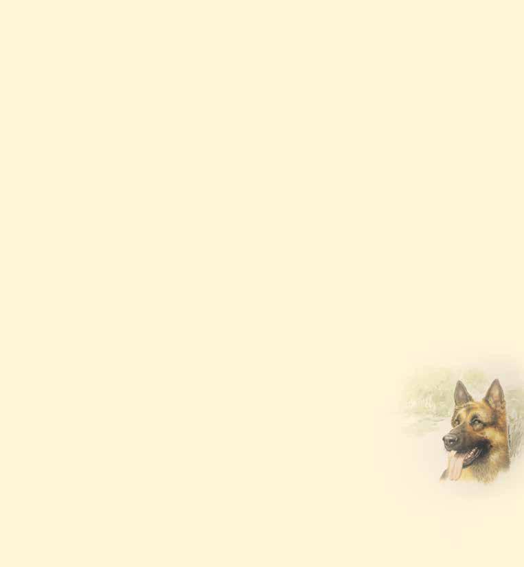 «Hund, Jack Russel» «Katze-16» 5261-04 5260-16 ca. 0,5 l - Höhe: ca.