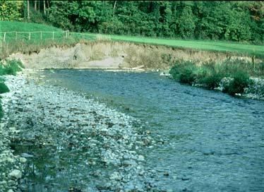 Eingriffe an Gewässern Fliessgewässer haben heute 2 Hauptaufgaben: einerseits sind sie ein wichtiger Lebensraum, andererseits müssen