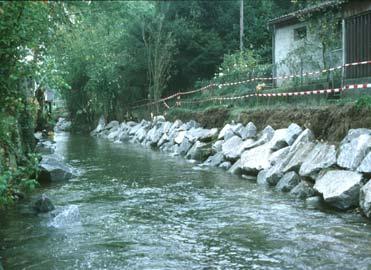 Ein unverbauter Bach ist zwar ideal für viele Tiere und Pflanzen, aber in dicht besiedeltem Raum müssen Fliessgewässer oft verbaut werden.