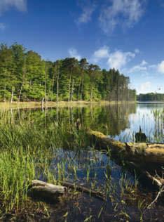 ADAC Quickfinder Schätze der Natur Als»Tafelsilber«der Einheit werden die drei großen Nationalparks von Mecklenburg-Vorpommern bezeichnet.
