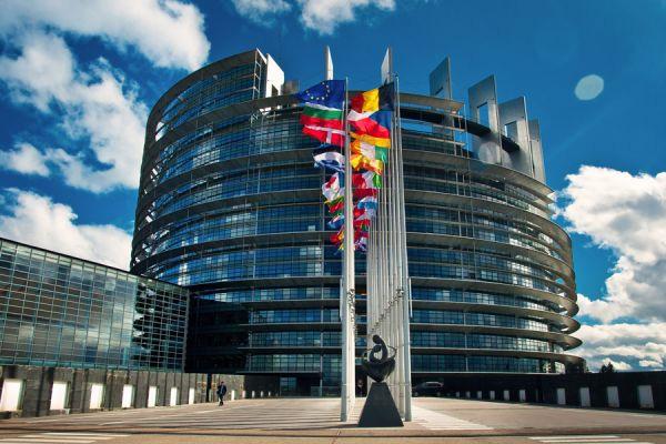 Nachmittag Besuch & Führung des europäischen Parlaments in
