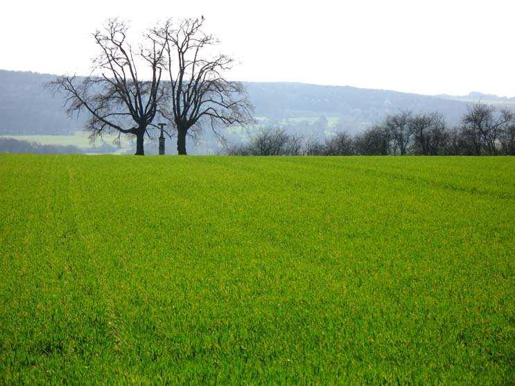 Der Bund Heimat und Umwelt (BHU)