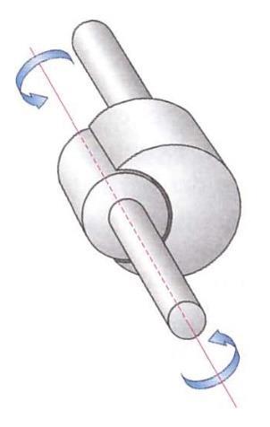 die Form eines Zylinders oder einer Walze Gelenkpfanne: Hohlzylinder - Scharniergelenk (Ginglymus) wegungen