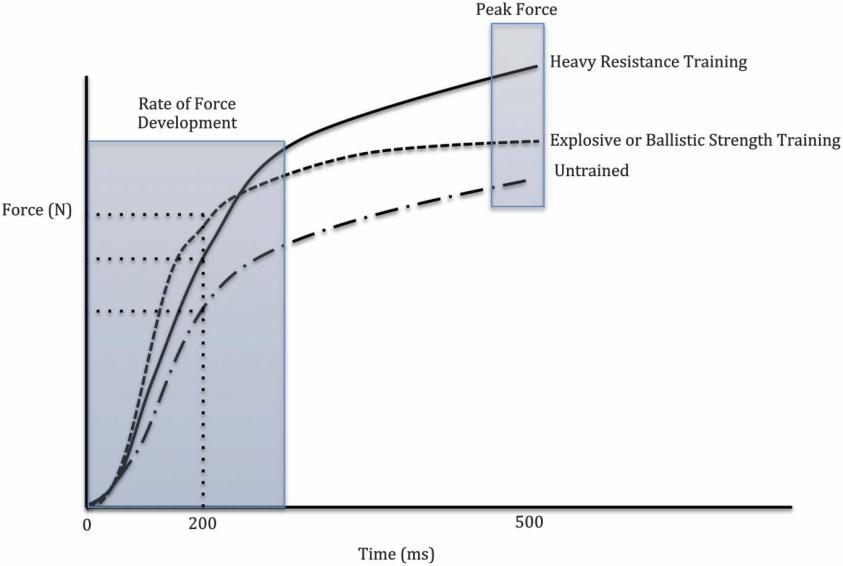2.2 Explosivkraft Wie bereits erwähnt, ist die Explosivkraft der Kraftanstieg pro Zeiteinheit bzw. wird über die Steilheit der Kraft-Zeit-Kurve definiert. Abb.