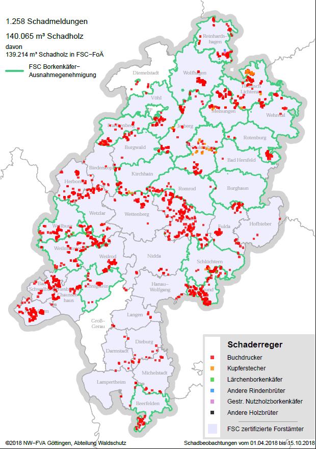 Käferschäden aus dem Waldschutzmeldewesen HessenForst: 590.000 m³ am 01.10.2018?