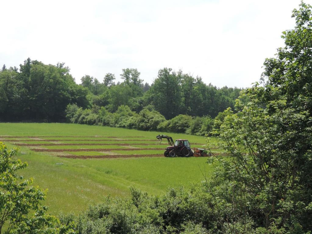 2. Konzept und Struktur des