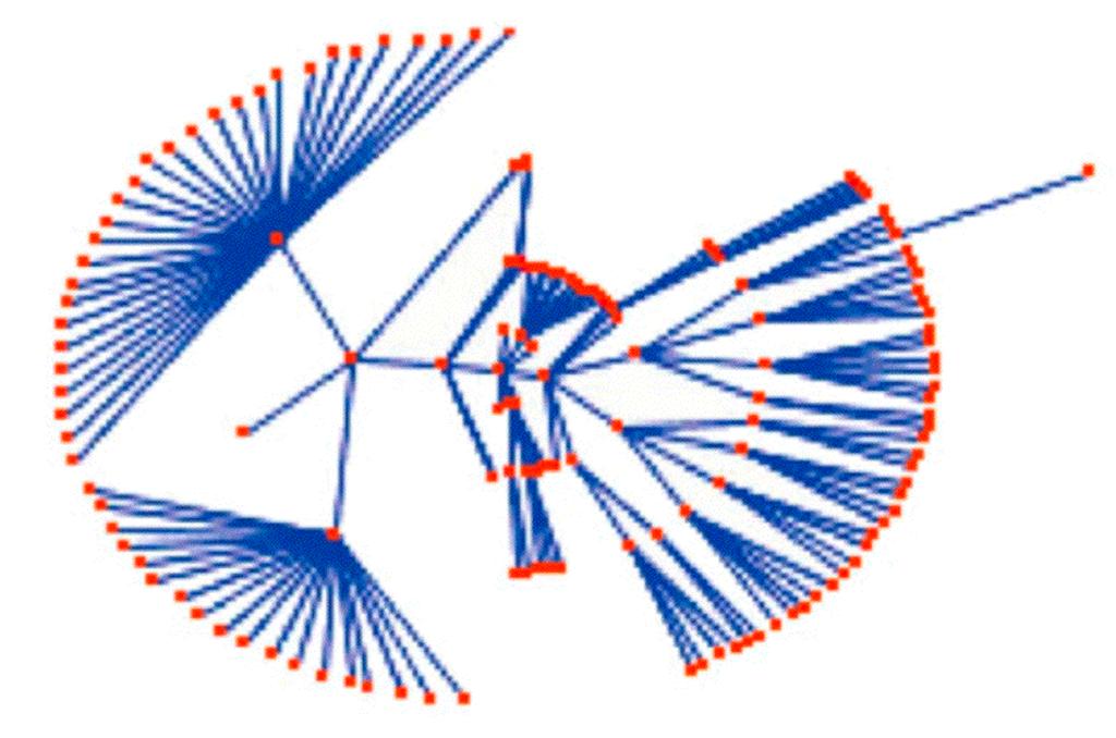 Fisheye Distortion Beispiel