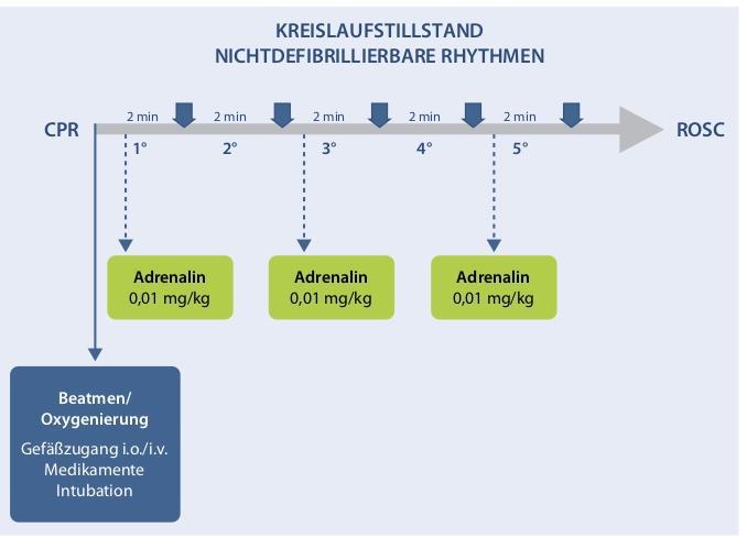 Priorität: i.v./i.o.