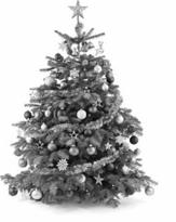 Schalterstunden Weihnachten/Neujahr Die Gemeindeverwaltung bleibt von Donnerstag, 24. Dezember 2015 bis und mit Freitag, 01 Januar 2016 geschlossen. Ab Montag 4.